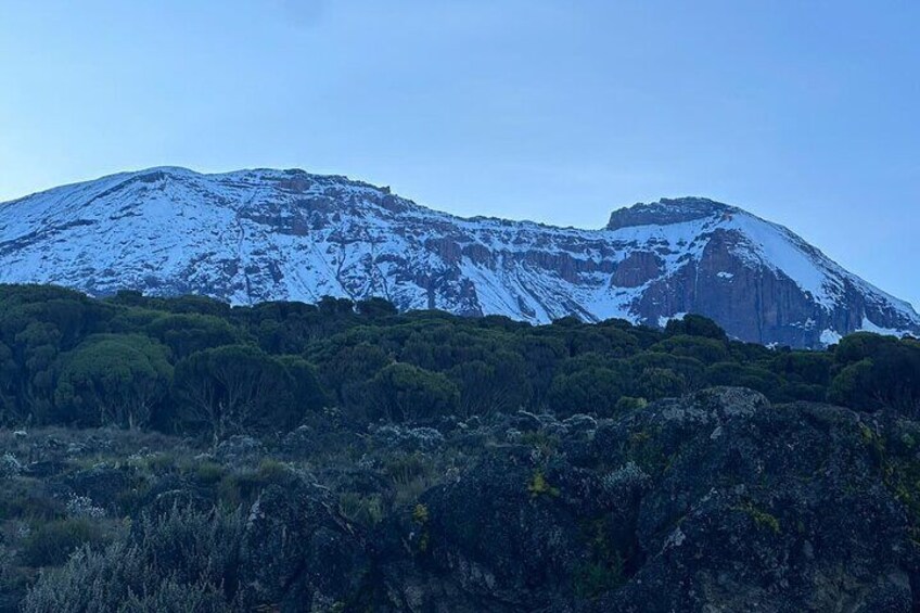 #1. The best Kilimanjaro Day Hike With ISMANI TOURS AND SAFARIS