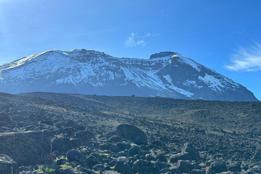 1-Day Hike Kilimanjaro with Ismani Tours and Safaris