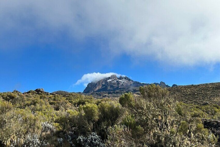 Mawenzi Peak Kilimanjaro day trip