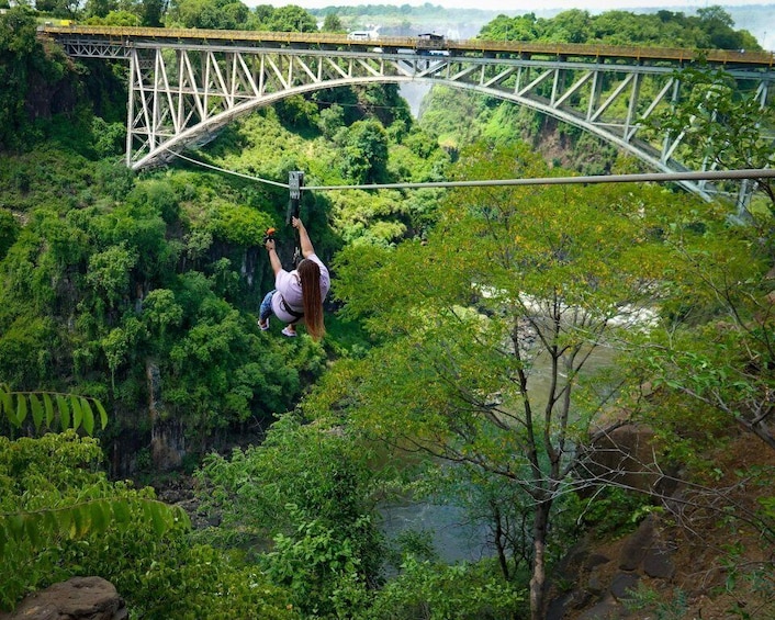 Picture 2 for Activity From Victoria Falls: Zip Line from the Victoria Falls Bridge