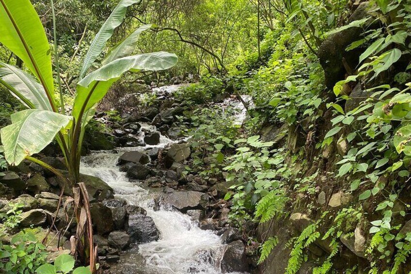 Santa Cruz: Hidden Waterfalls & Secret Paradise Hike