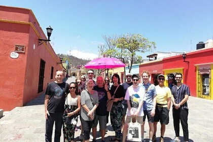 Oaxaca Private Tour, you choose! (customisable) - Best Rated