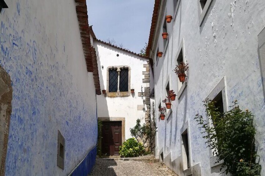 Private Tour to Nazare Obidos and UNESCO Monastery of Alcobaça