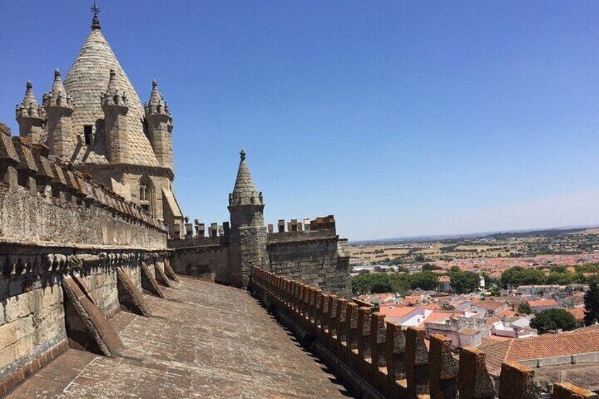 Private 1-day tour in Évora