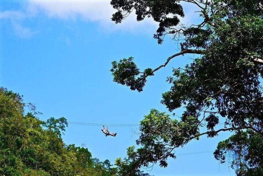 Long zipline far above the jungle