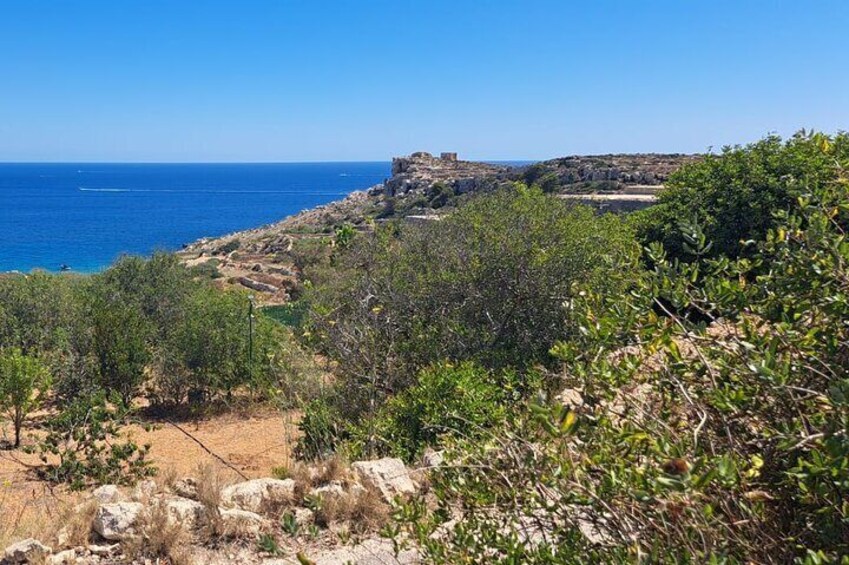 North Malta Quad Bike Tour with Land or Sea Views and Swimming