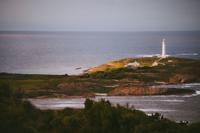 Cape Leeuwin Lighthouse Fully-guided Tower Tour