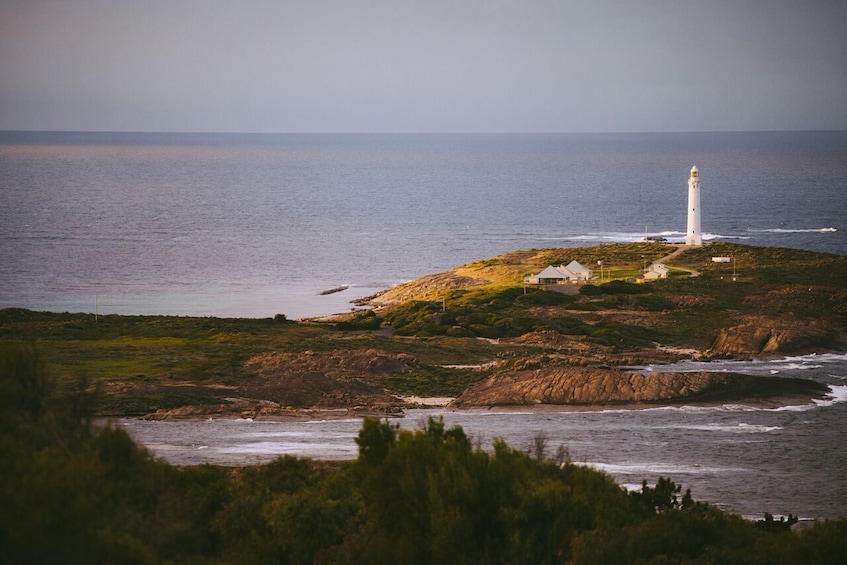 Cape Leeuwin Lighthouse Fully-guided Tower Tour