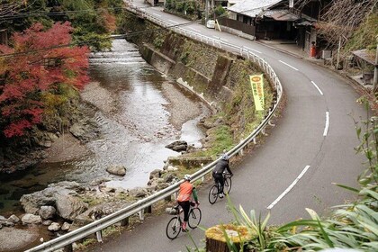 Kyoto Cycling Tour - Discover the Stunning Northern Hills