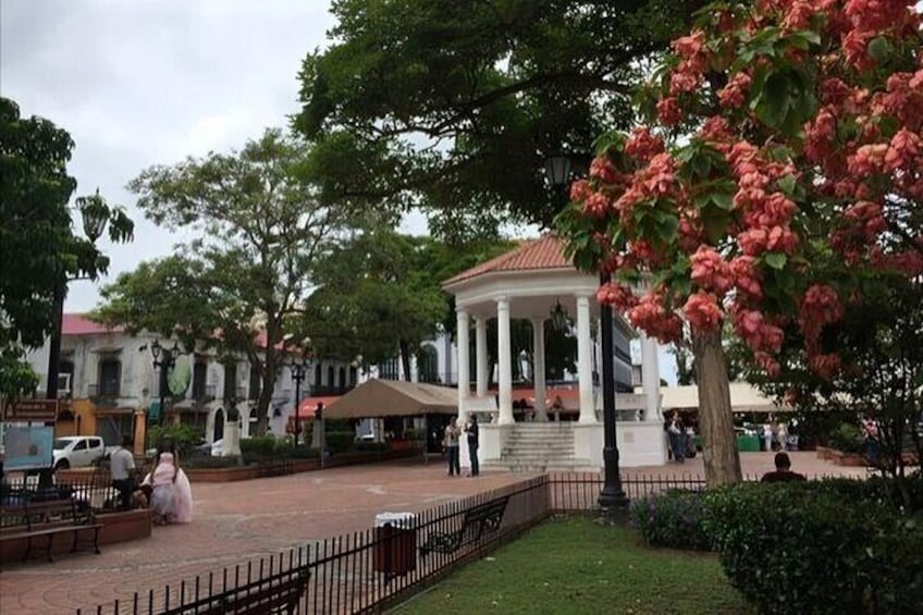 Panama Walking Tour With A Guide