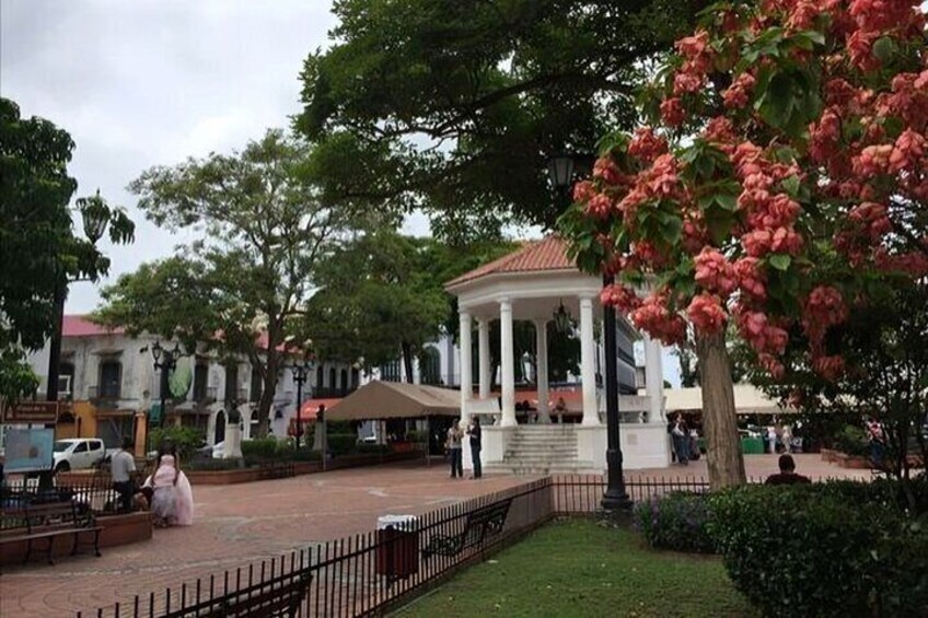 Panama Walking Tour With A Guide