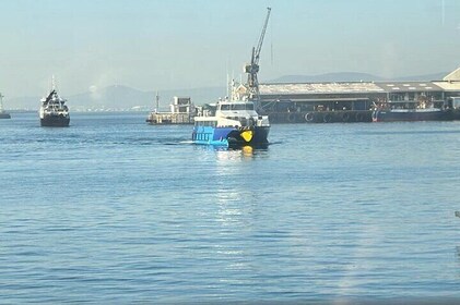 Tour de medio día al Museo Robben Island. Incluyendo todas las entradas.