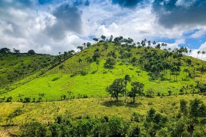 Cultural and Historical Experience by Higuey