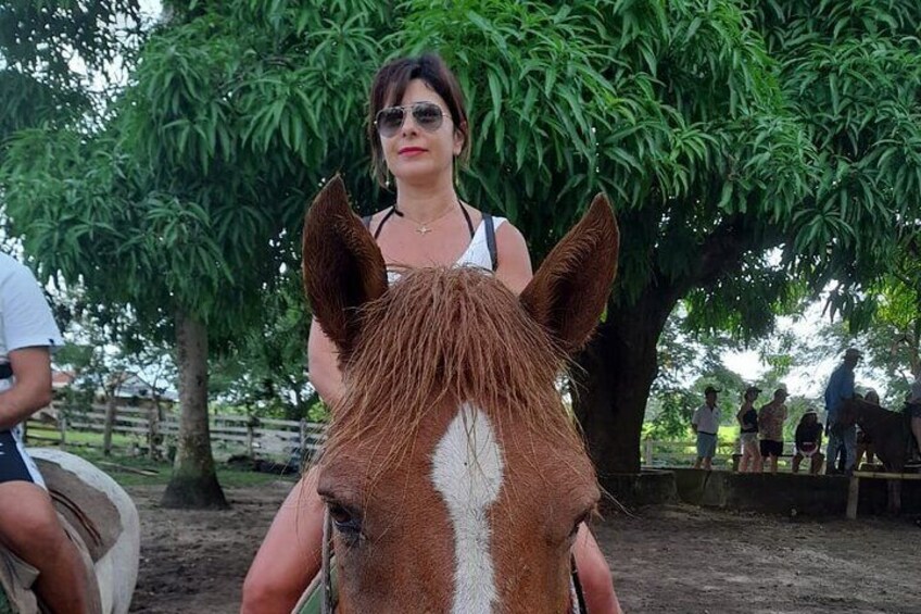 Cultural and Historical Experience by Higuey