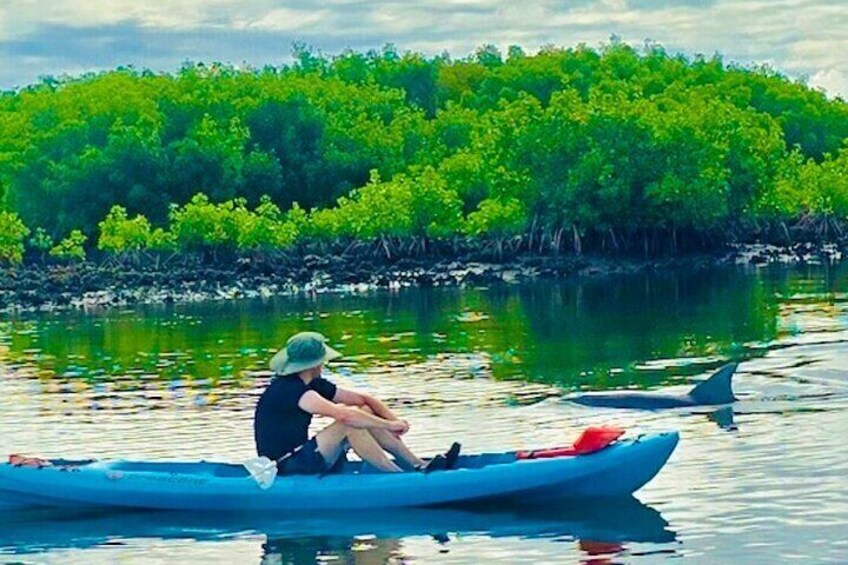 Kayaking and seeing the Dolphins up close is always great!