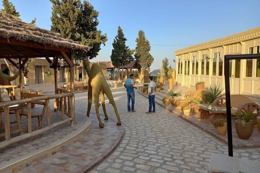 Cultural Experience of Bedouin Village in Mahdia