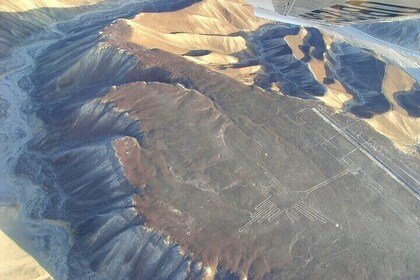 Nazca Lines, Ballestas Islands, Huacachina Tour from Lima