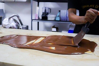 Taller de Cacao y Chocolate Bean to Bar