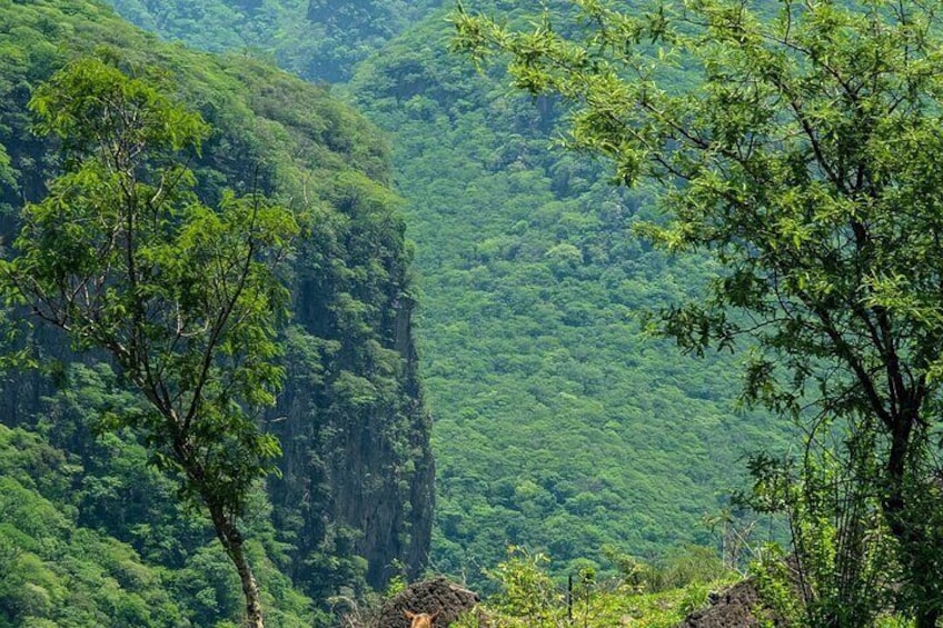 Trekking Path to a Secret Swimming Spot