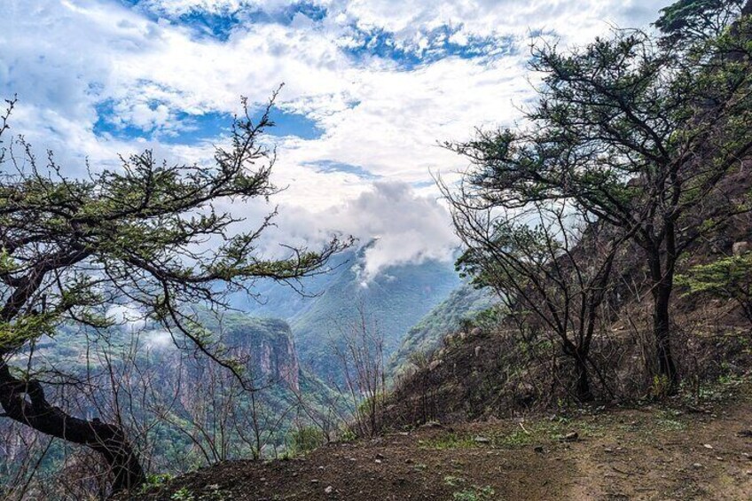 Trekking Path to a Secret Swimming Spot