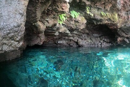 Island Adventure for Cruise Ship Passengers