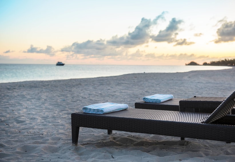 Lounge chairs on the beach in Bimini