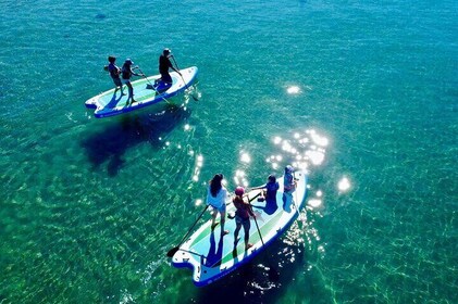 Giant Stand Up Paddle Board Tour Lake Mead