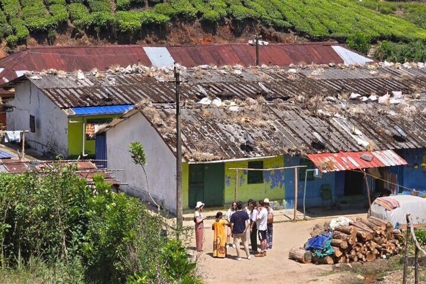 local village visit