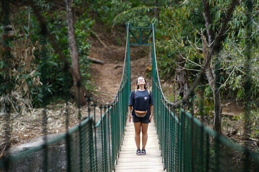 Hanging bridge in tiger cave