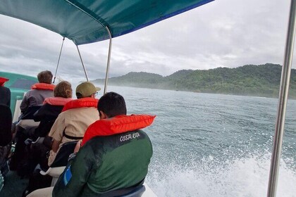 Day tour Corcovado-Sirena con Almuerzo y Transporte.