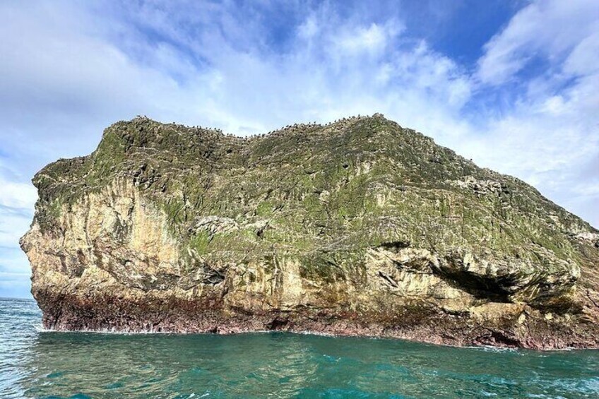 Corcovado National Park 