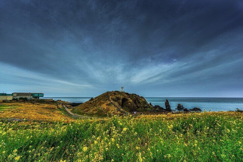 1Day Tour to Jeju for Gangjeong Seogwipo Cruise Guests