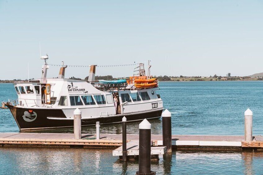 Our Spacious vessel Bay Explorer docking at the jetty for pick up