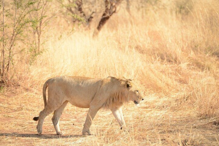  2 Days Overnight Camping in Chobe National Park