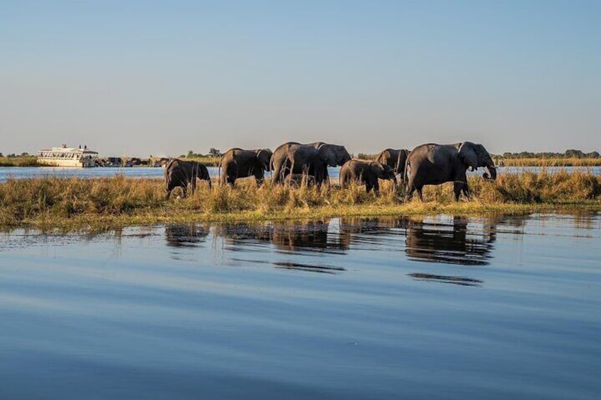  2 Days Overnight Camping in Chobe National Park