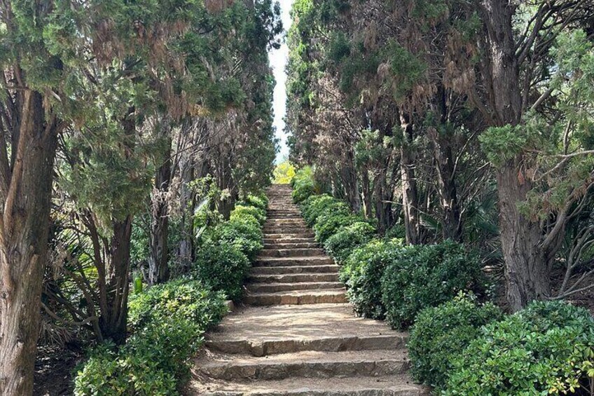 From Barcelona MARIMURTRA Garden and Blanes and 3-Course Lunch