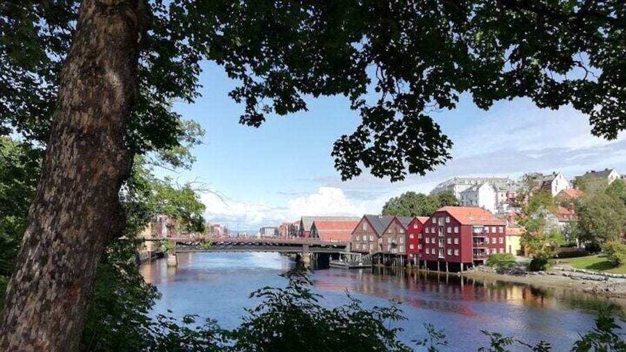 Trondheim: Discover the city of kings with a local guide