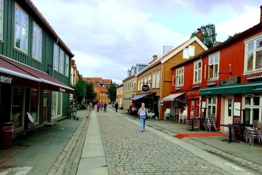 Trondheim: Discover the city of kings with a local guide