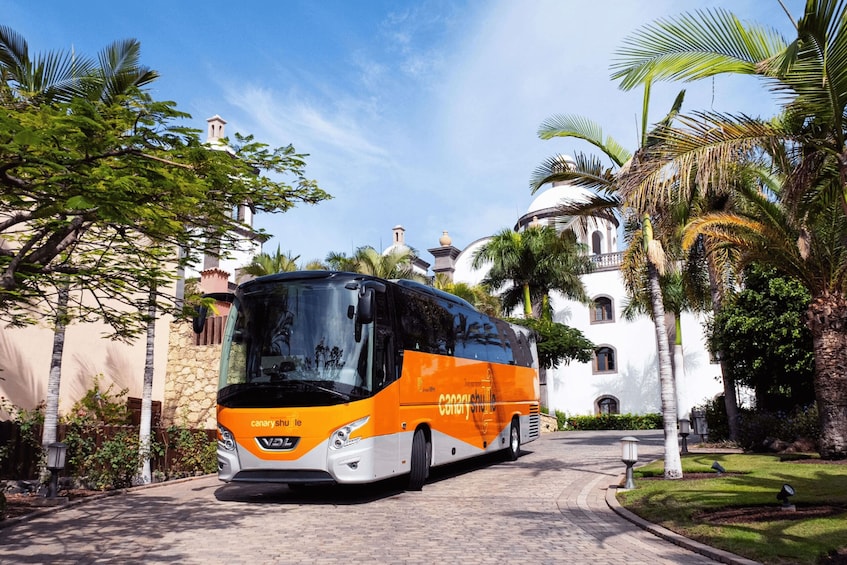 Tenerife South Airport: Bus transfer to Los Cristianos