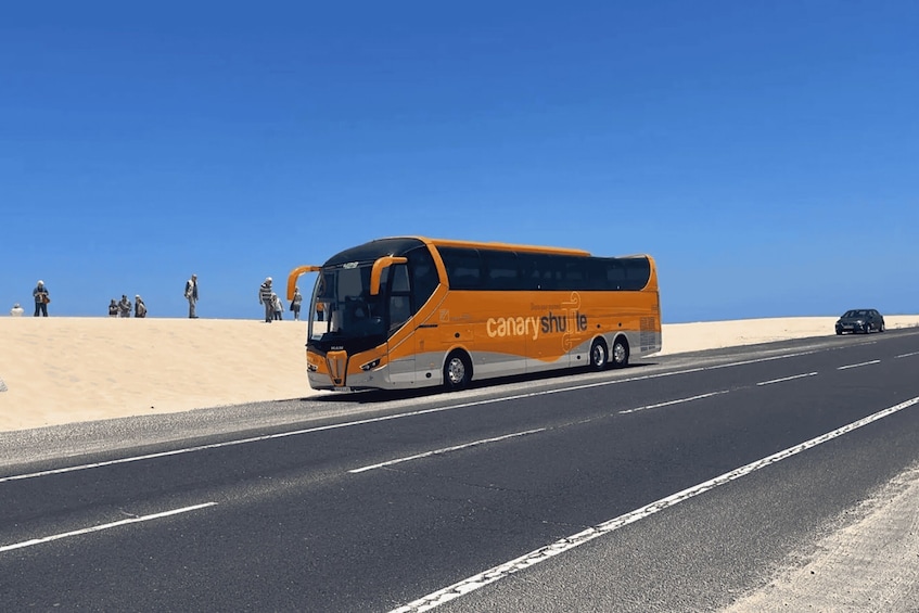 Picture 4 for Activity Tenerife South Airport: Bus transfer to Los Cristianos