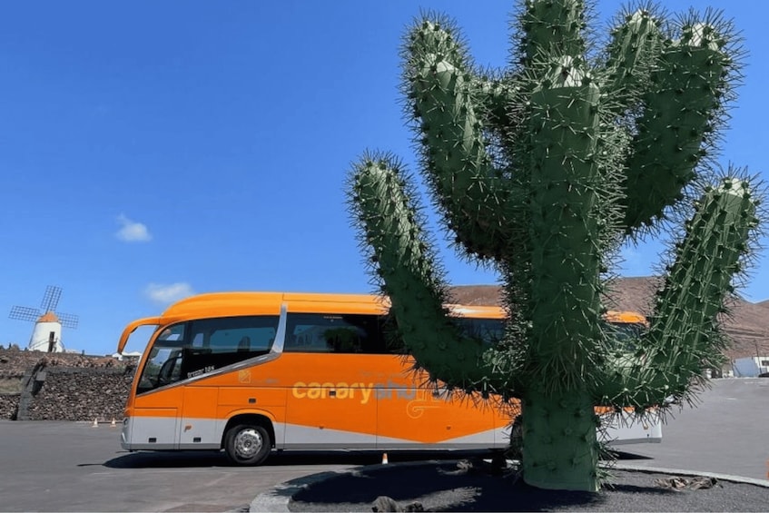 Picture 1 for Activity Tenerife South Airport: Bus transfer to Los Cristianos