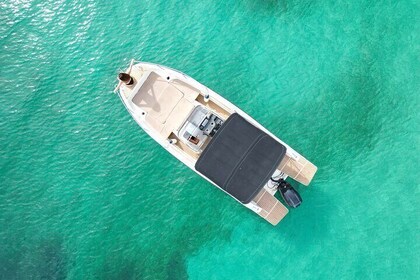 Private Boat Tour of San Antonio with Paddel surfing and Snorkeling