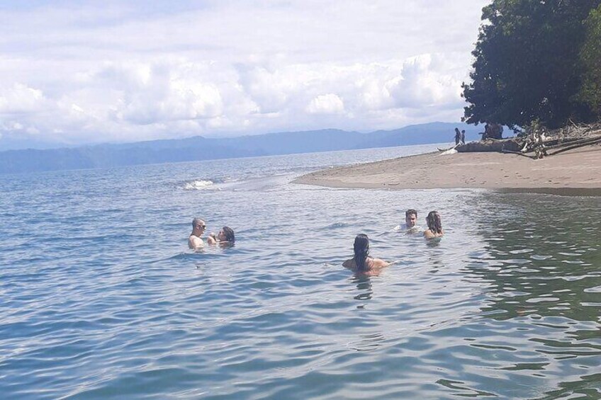 Private 4-Hour Dolphin and Whale Experience