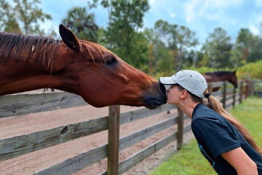 Farm Experience with Ponies, Bunnies, Chickens and Goats