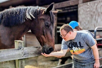 Farm Experience with Ponies, Bunnies, Chickens and Goats