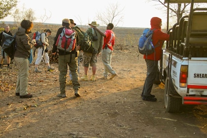 Depuis les chutes Victoria : Randonnée Batoka et village Ndebele excursion