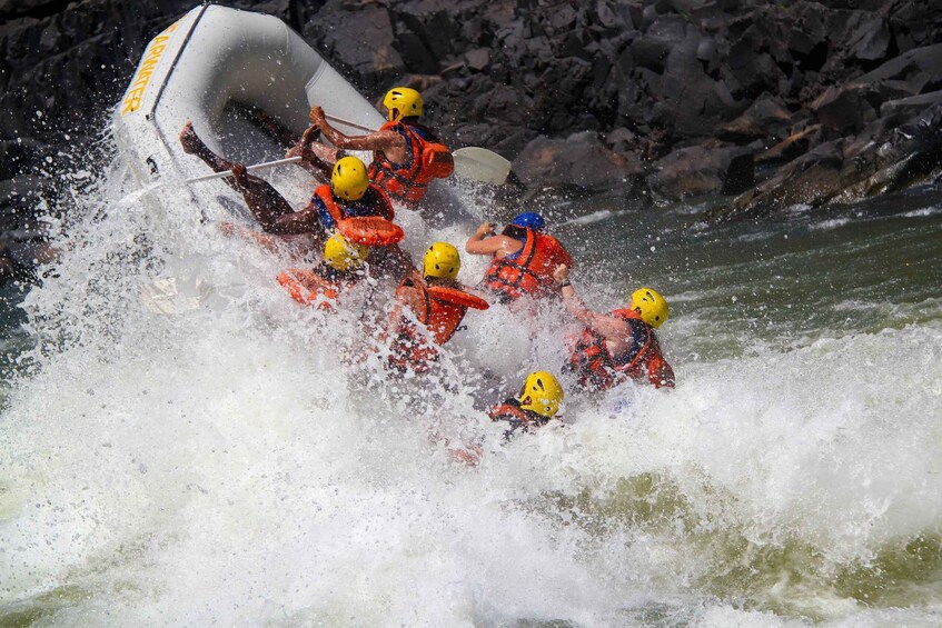 Picture 8 for Activity Victoria Falls: Whitewater Rafting Experience