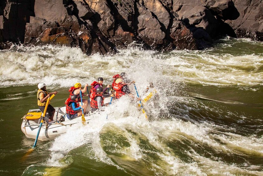 Picture 6 for Activity Victoria Falls: Whitewater Rafting Experience