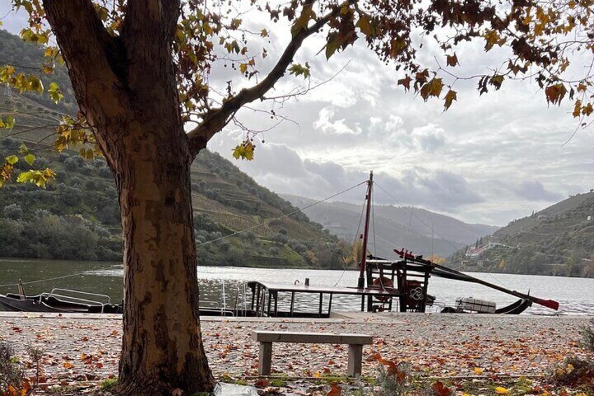 Private Tour From Porto To Douro Valley With River Boat Ride 