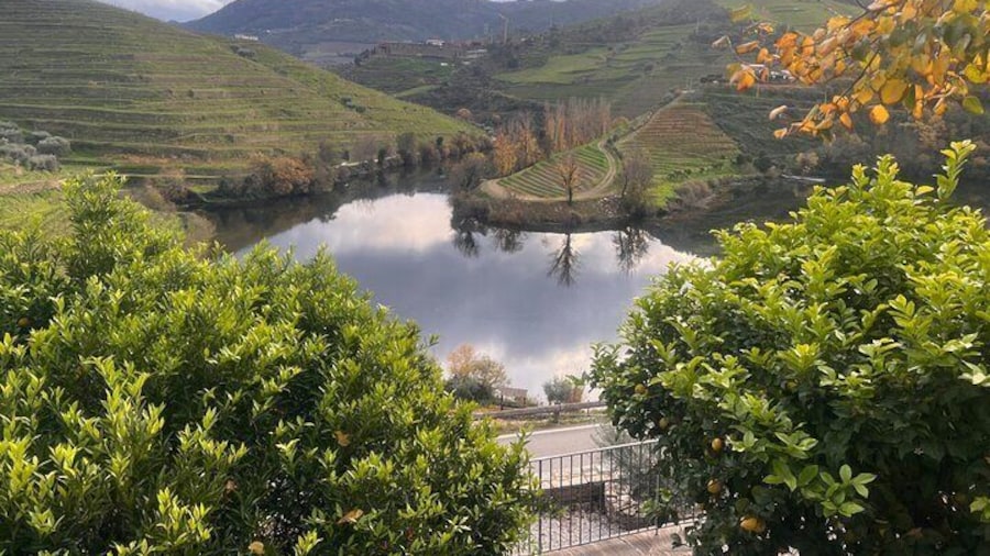 Private Tour From Porto To Douro Valley With River Boat Ride
